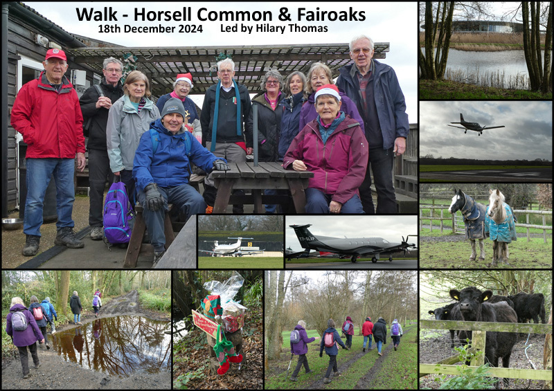 Walk - Horsell Common & Fairoaks